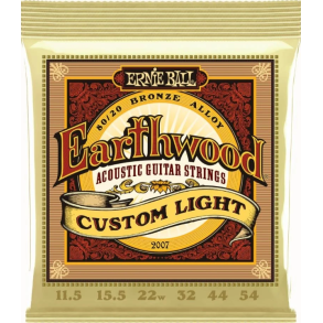 Ernie Ball 2007 Earthwood 80/20 Custom Light